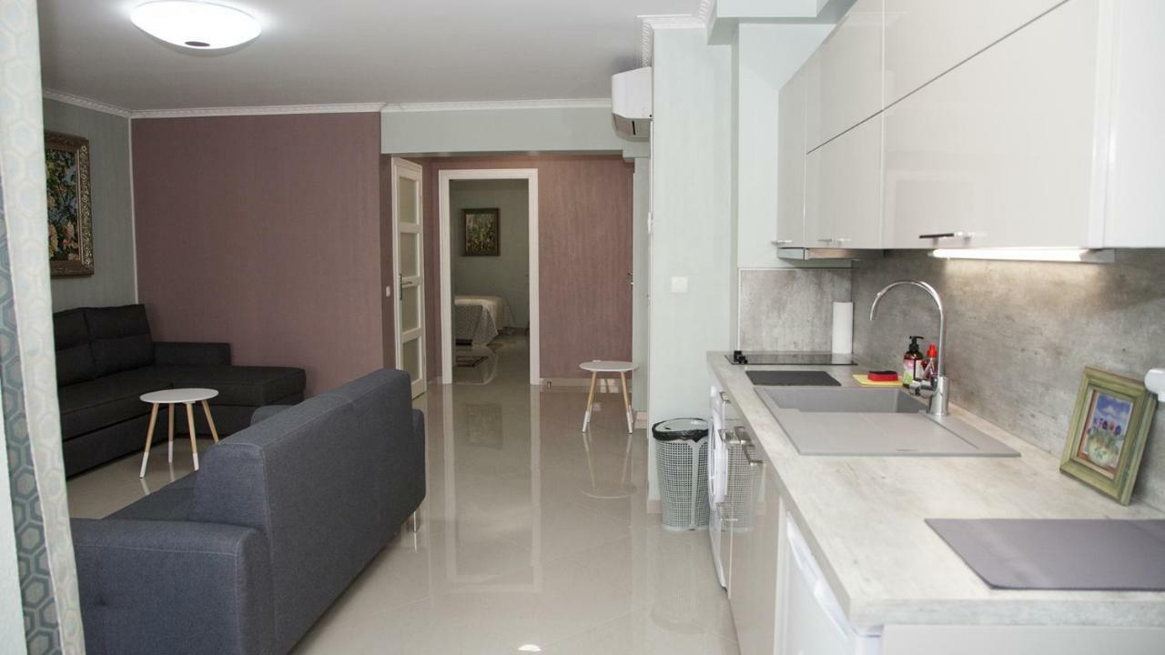 Big & Stylish 2 Room Flat Νίκαια Εξωτερικό φωτογραφία